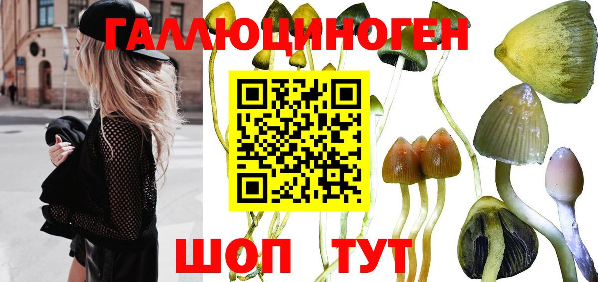 Псилоцибиновые грибы прущие грибы  купить наркотик  Боровичи  Псилоцибиновые грибы Psilocybine cubensis  Вход с VPN 